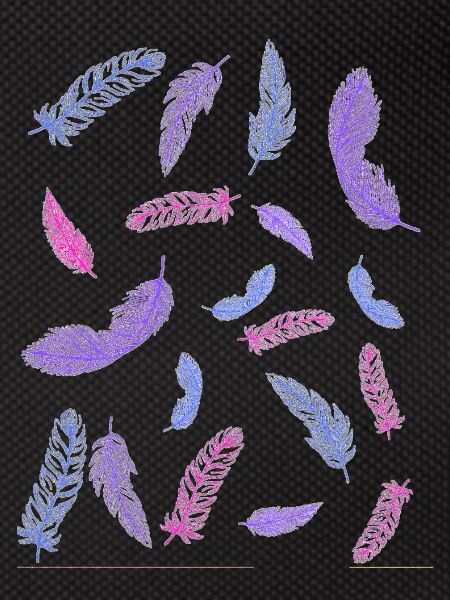 bi springs