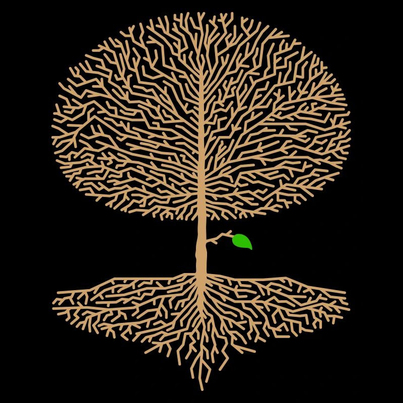 Deciduous Tree Crown Forest Oak Beech Nature Branch Hope