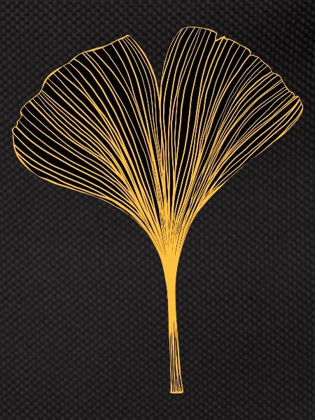 Ginkgo