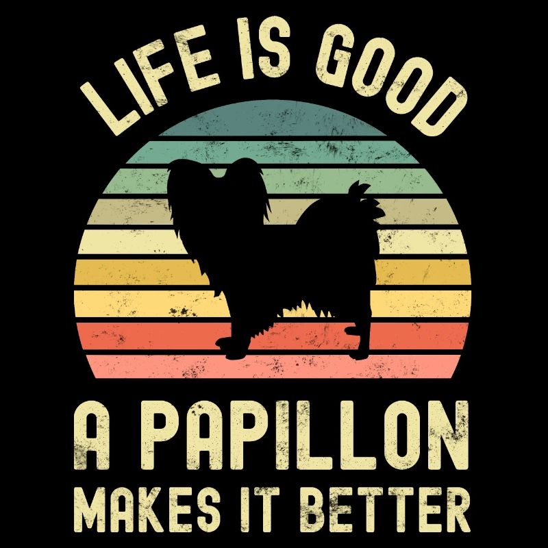 Hund Papillon