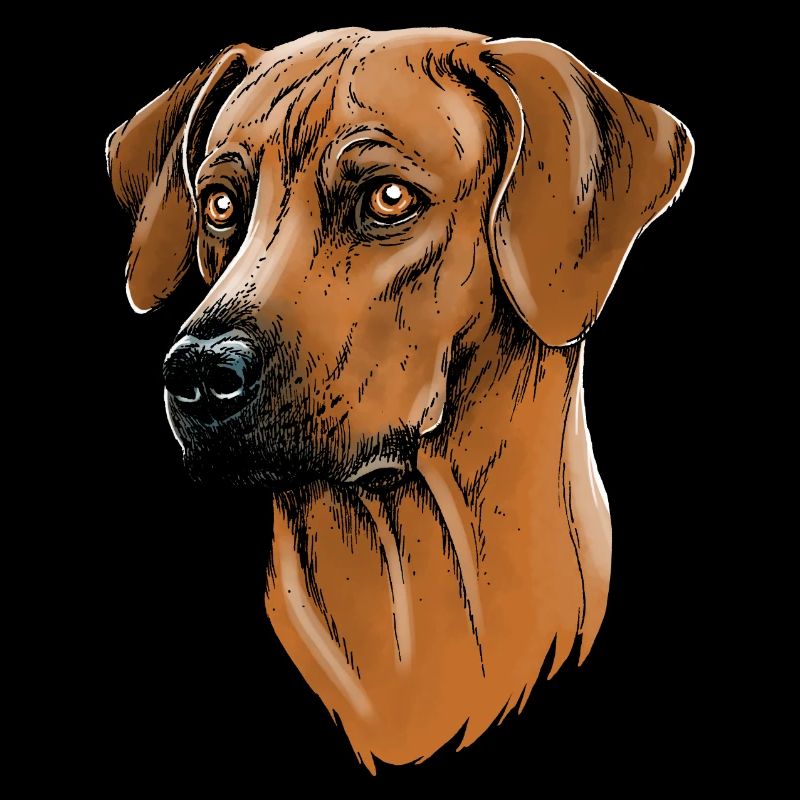 Rhodesian Ridgeback