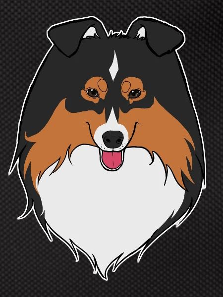 Sheltie black trio