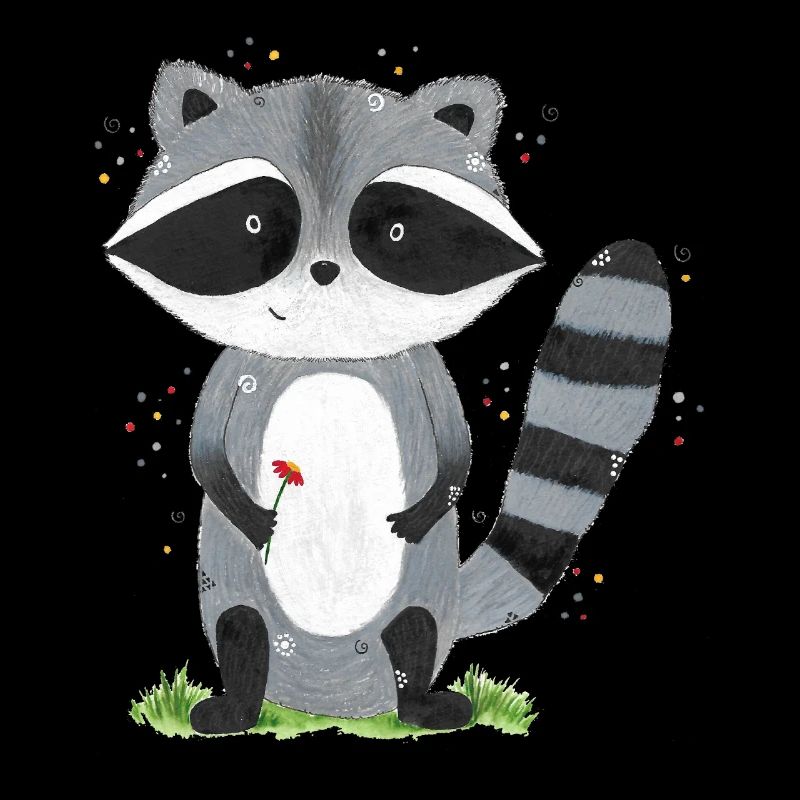 Waschbär Emil
