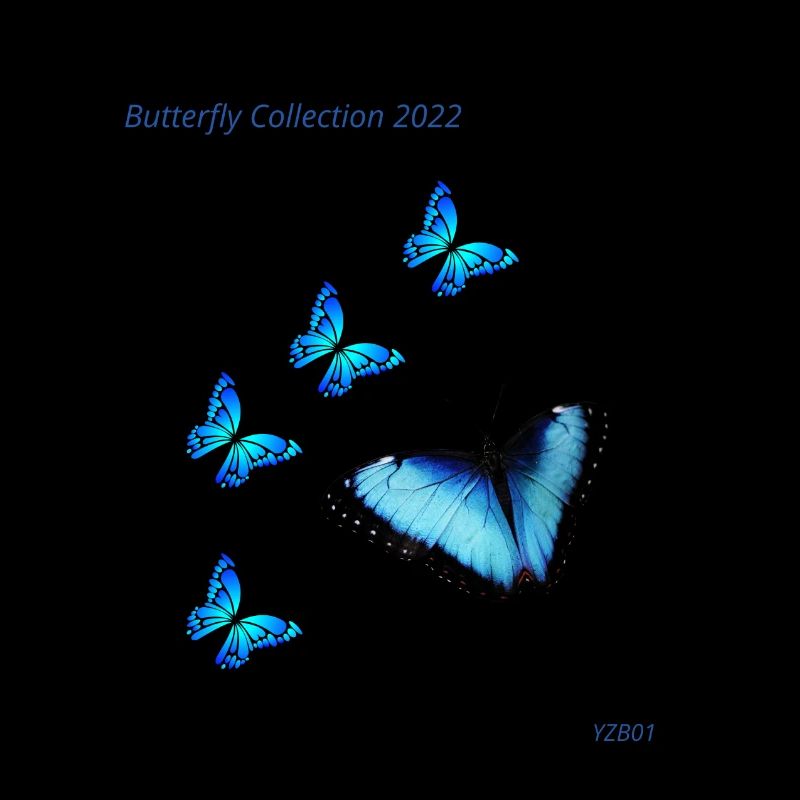 Collection Papillon 2022