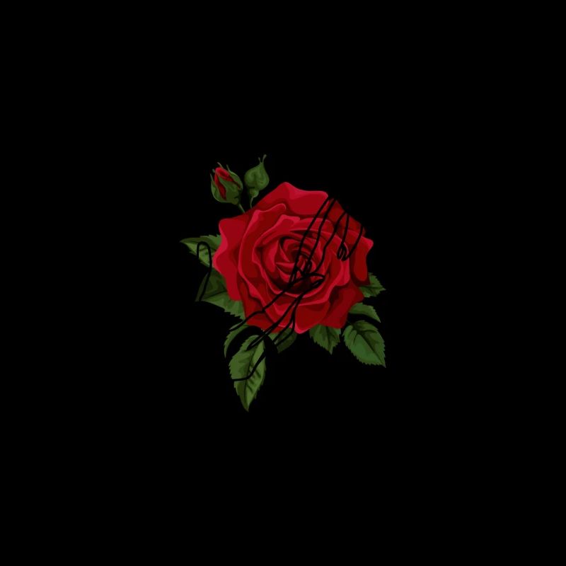 Rose Design