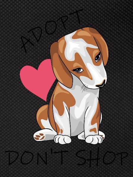 Cute beagle. Adopt