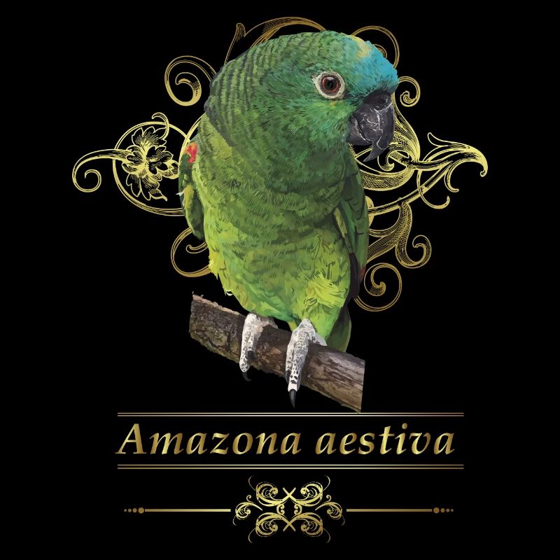 L’amazone à front bleu