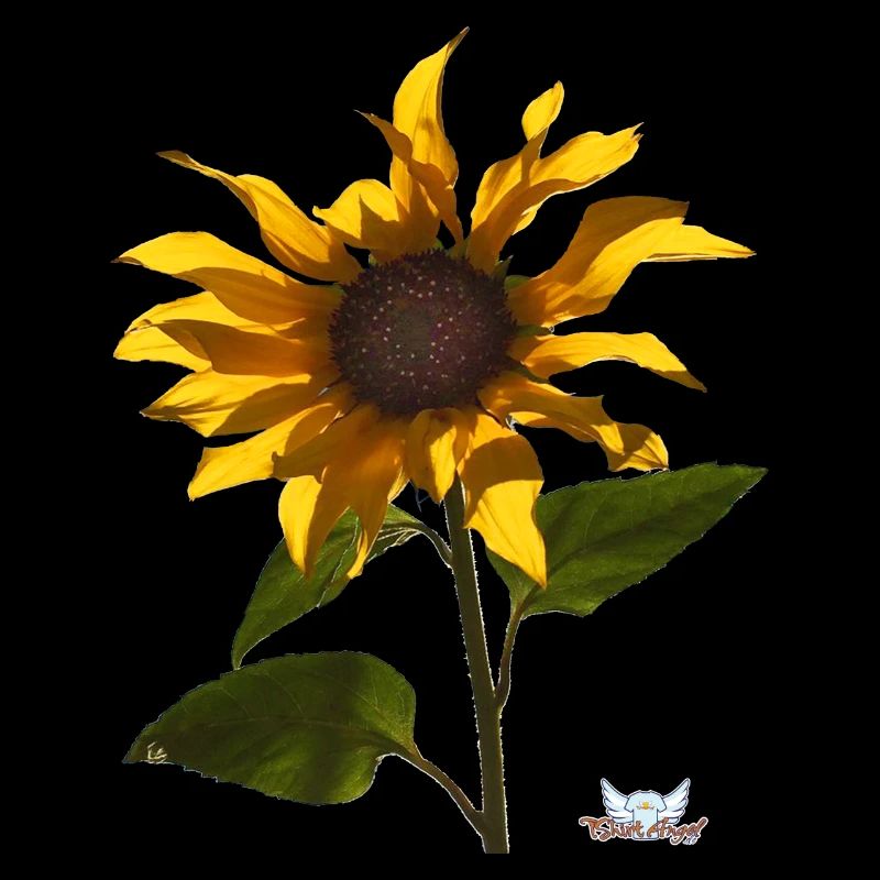 Tournesol fleuri - TShirtAngel.de
