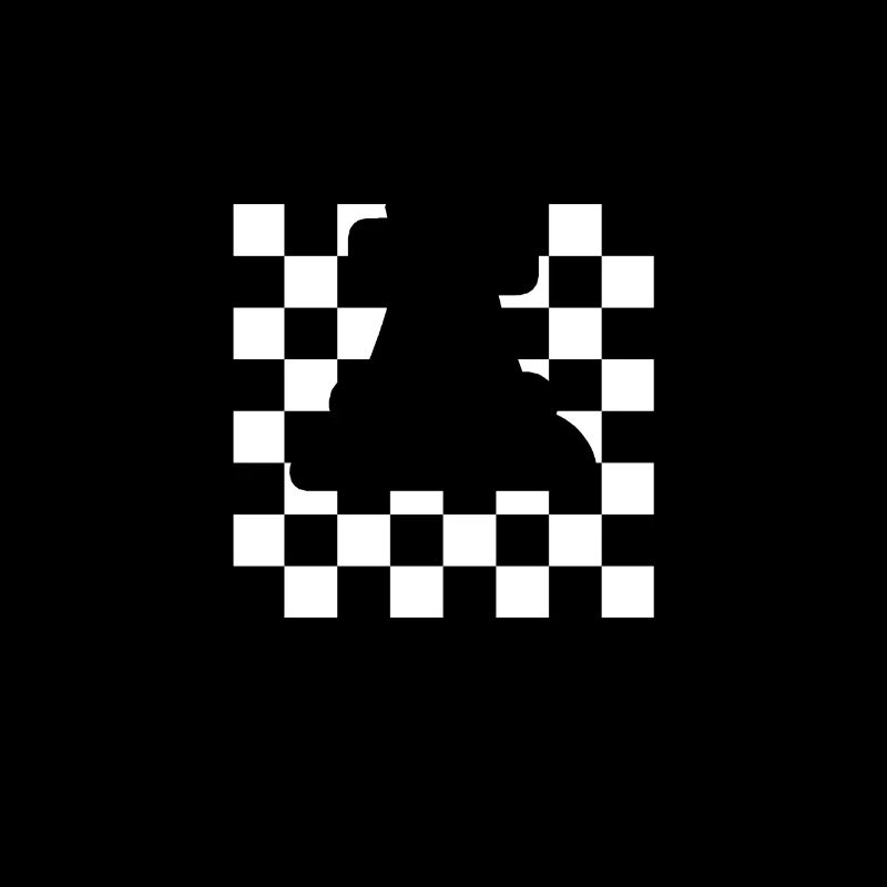 Échec et mat Joueur d’échecs Roi d’échecs