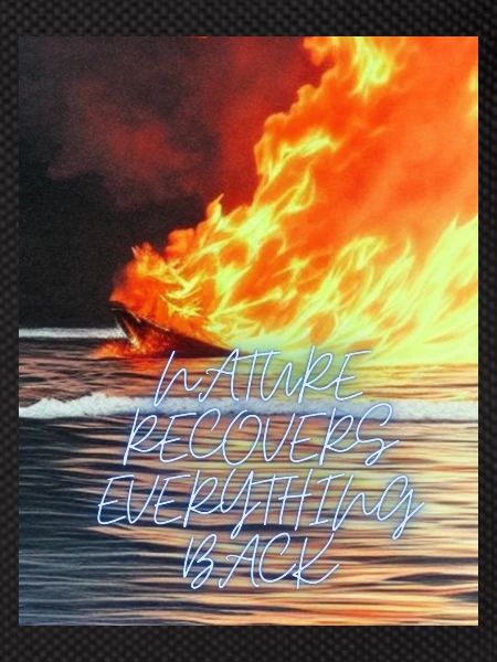 SparNature recovers everything backkle