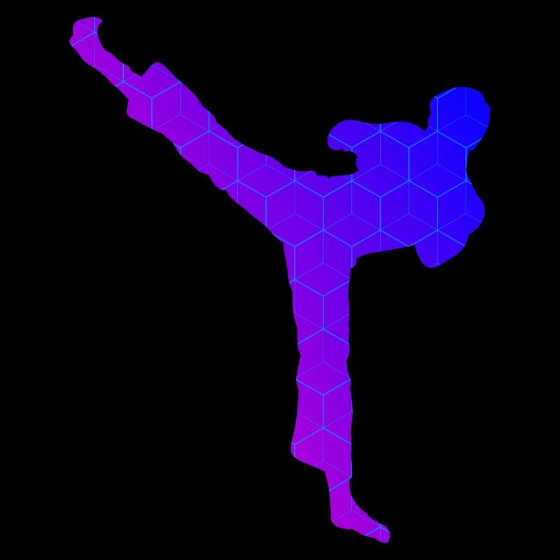 Kickboxing Kickboxing Hommes Kickboxing