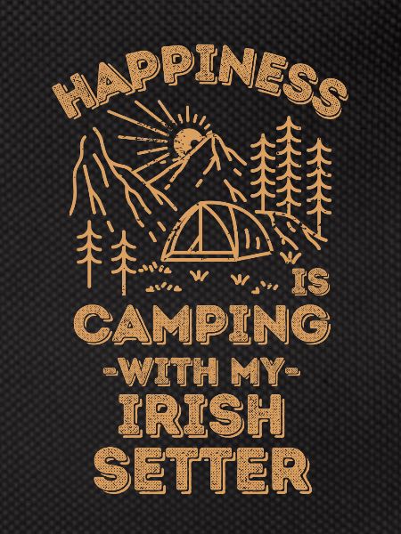 Camping with irish-setter