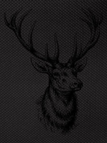 Wildtiere