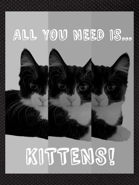 Kittens