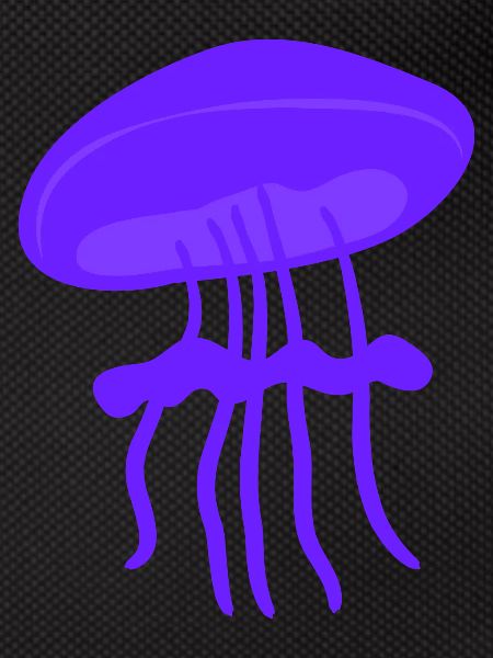 Beautiful jellyfish