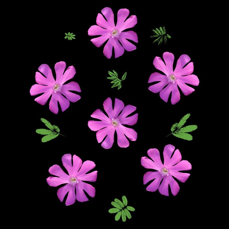 Œillets légers fleurs roses