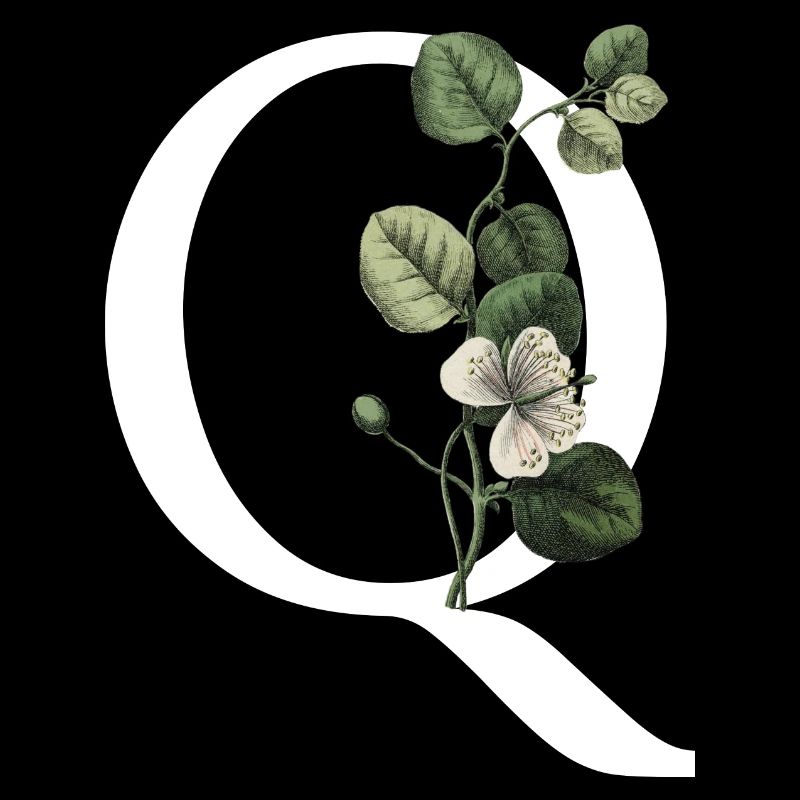 Buchstabe Q Botanisch Grün