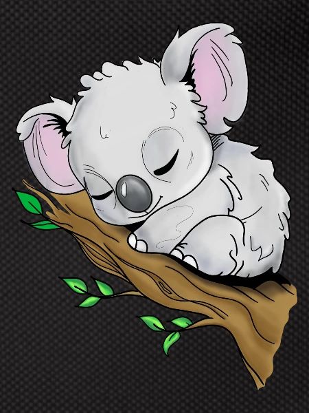 Sleeping Koala