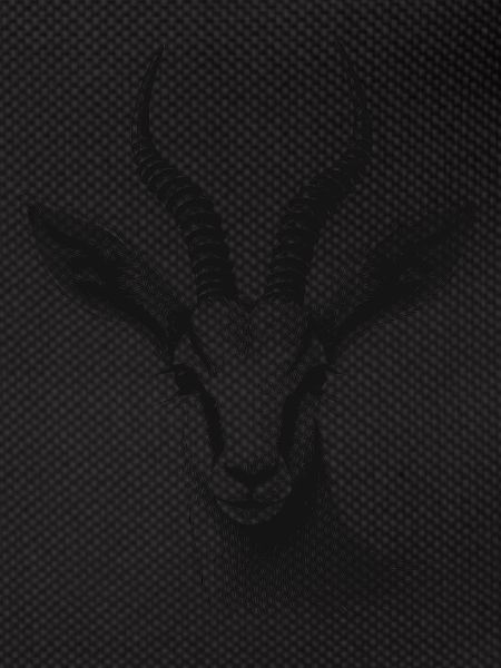Antelope