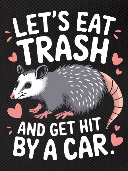 Opossum Possum Animal