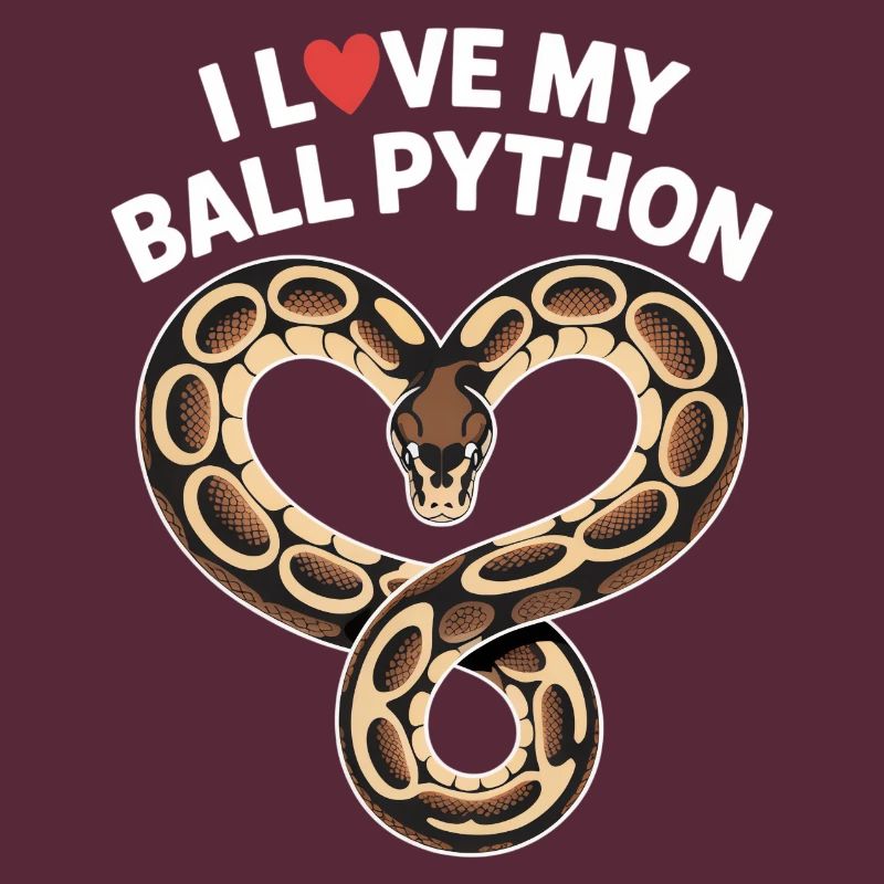 J’adore mon python royal ! Roi python