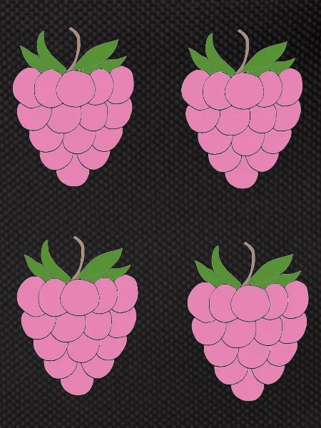 Raspberry Double Cluster Pattern