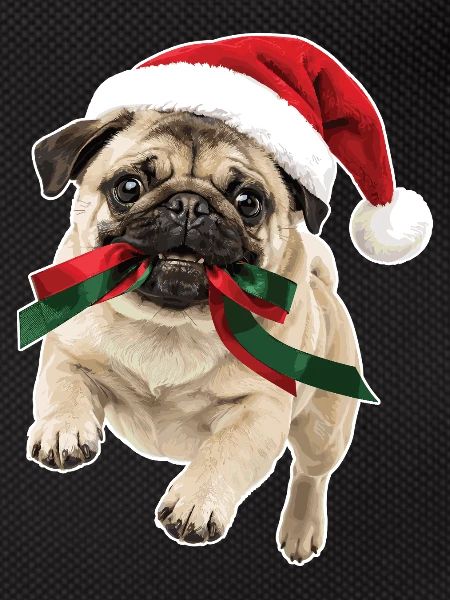 Playful Christmas Pug