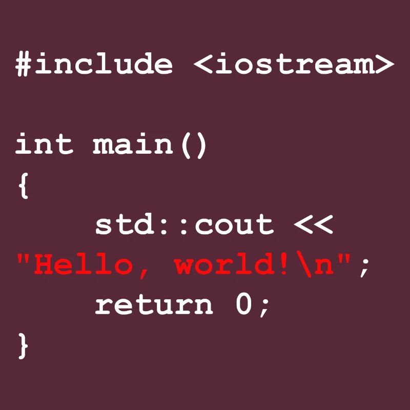 Programmer Coder Software Developer