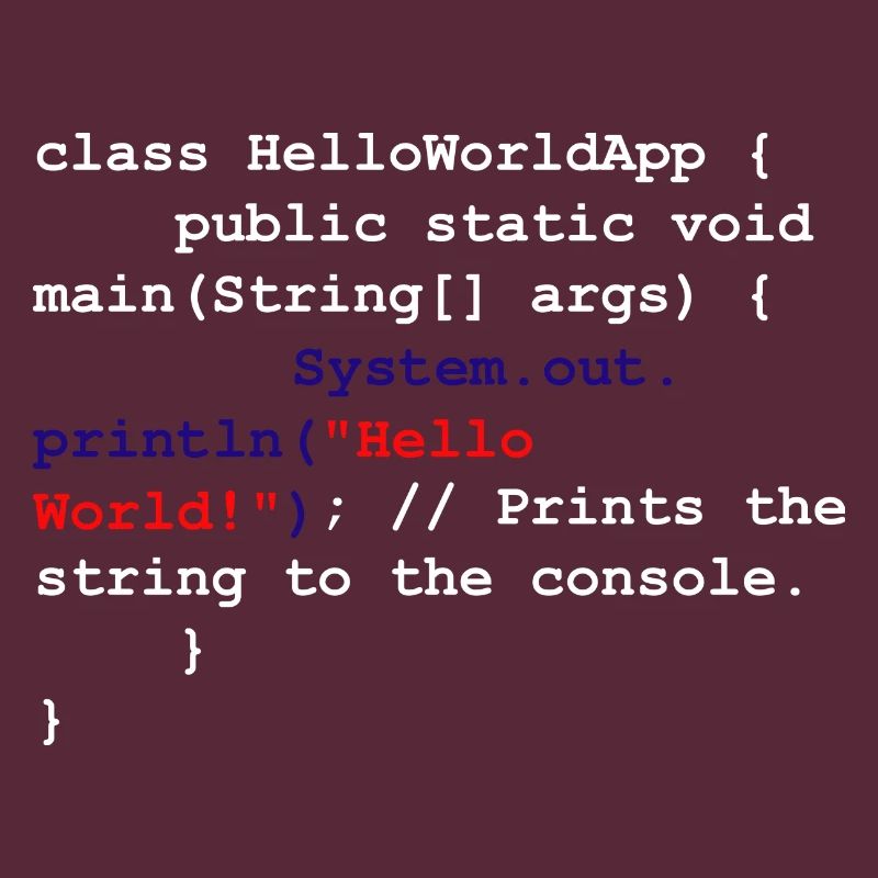 Programmer Coder Software Developer