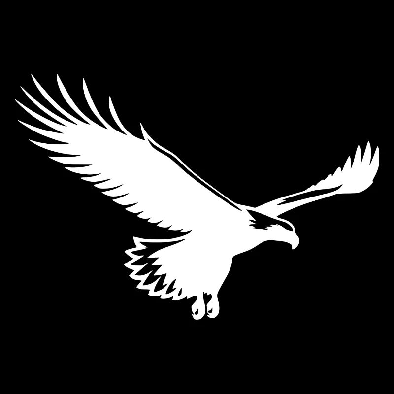 Aigle élégant sur de larges ailes dans le vent
