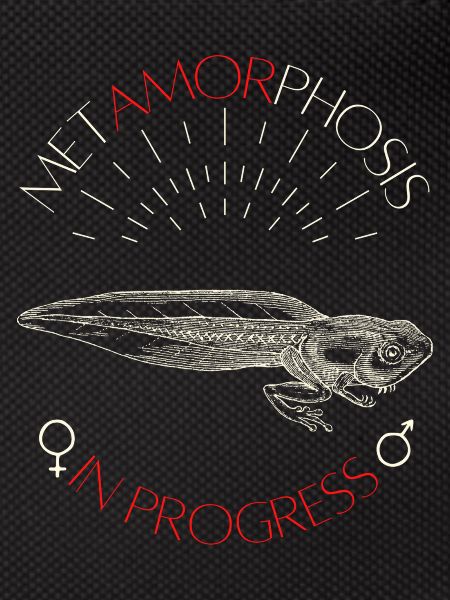 Metamorphosis in progress
