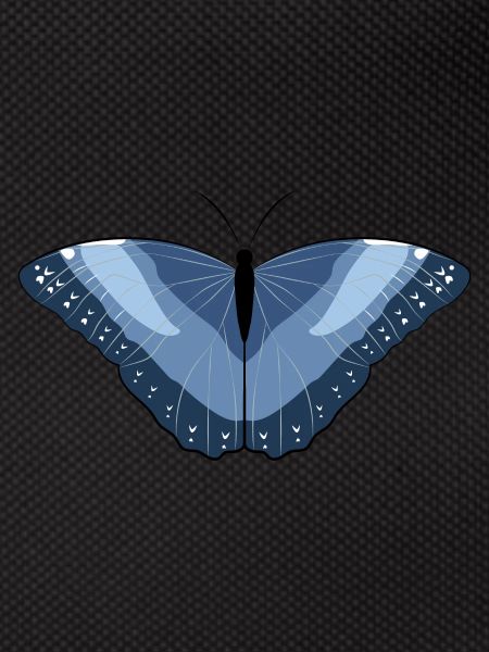 Flying Artwork - Butterfly