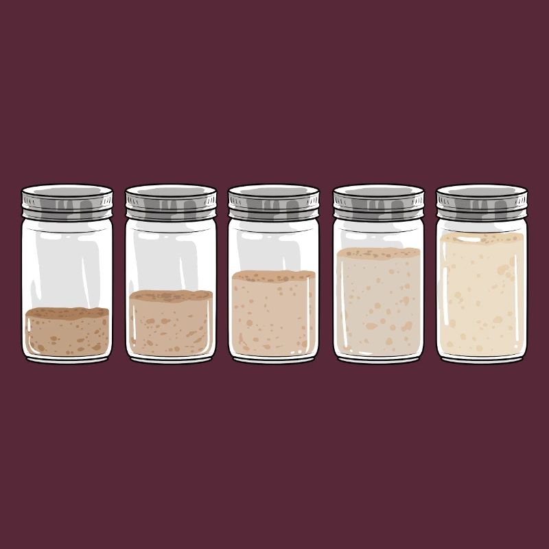 Sourdough I Sourdough Starter Evolution I Bread