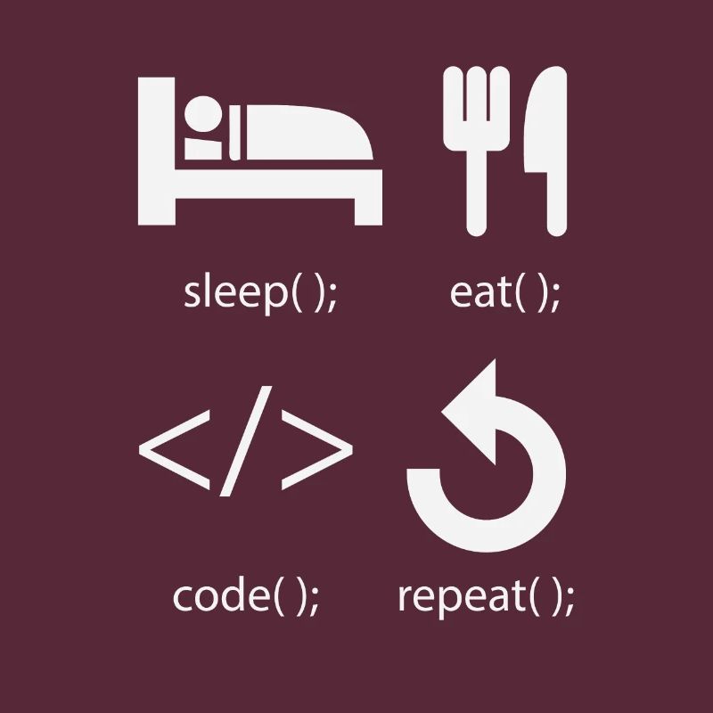 Programmierer Entwickler - Eat Sleep Code Repeat