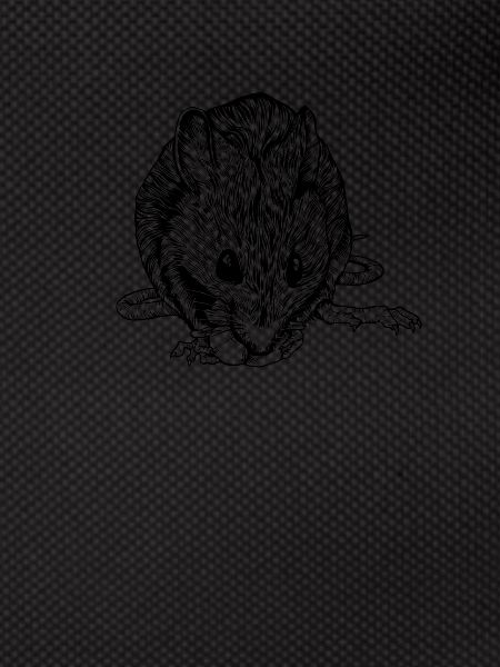 Drawing of a rat