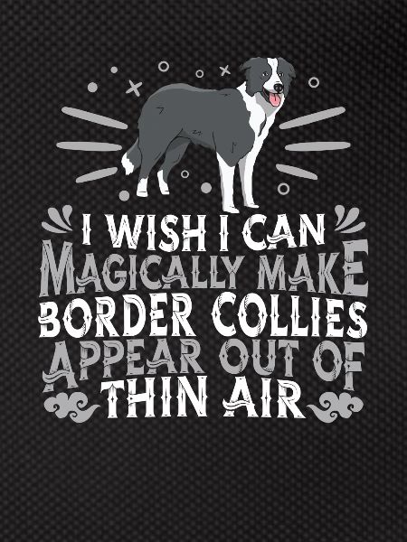 Border Collie Dog