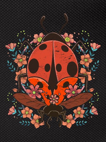 Ladybird