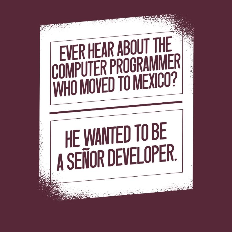 Programmeur Coder Développeur de logiciels