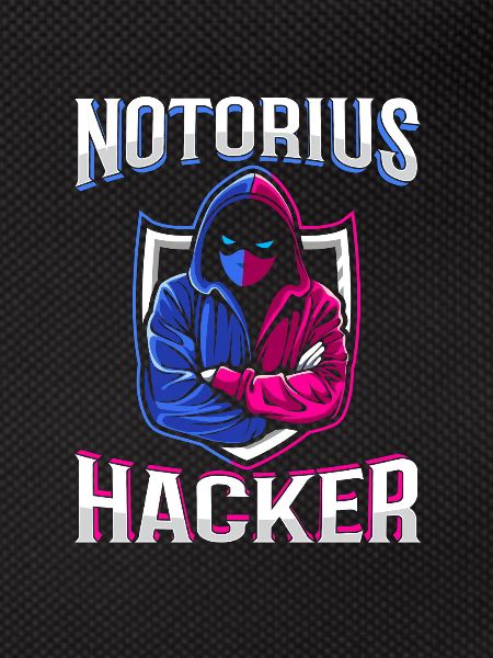 Programmer Coder Software Developer