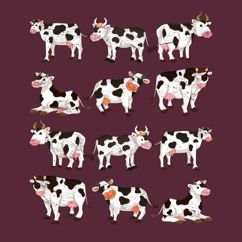 Vache
