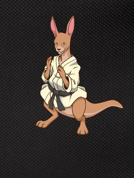 Comic Kangaroo makes judo