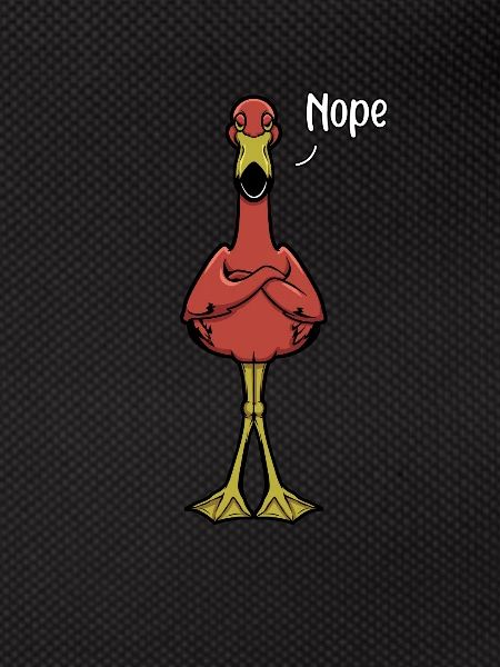 Flamingo Naysayer - Nope