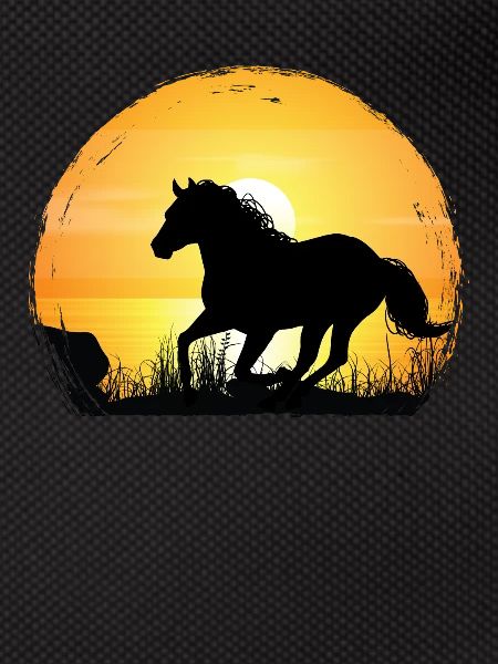 Sunset - Quarter Horse
