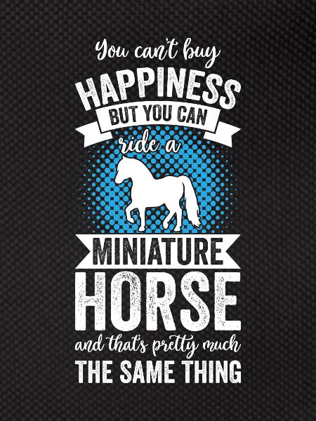 Équitation - Cheval miniature