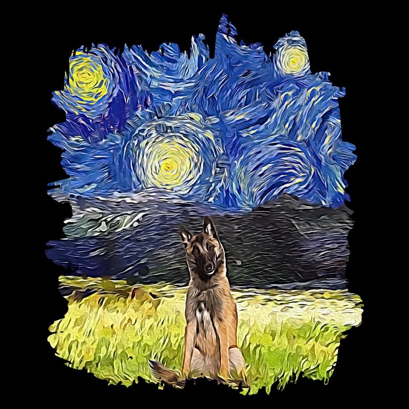 Starry Night - Belgian Tervuren
