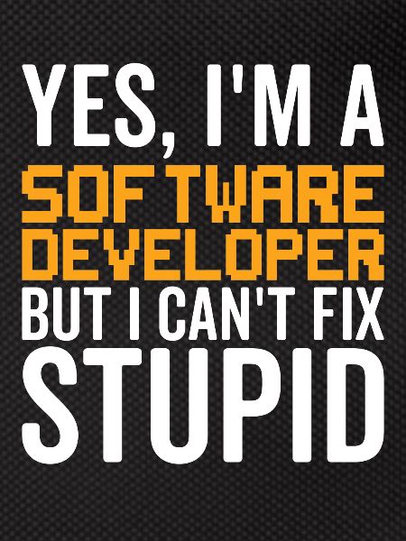 Stupid - Software Developer