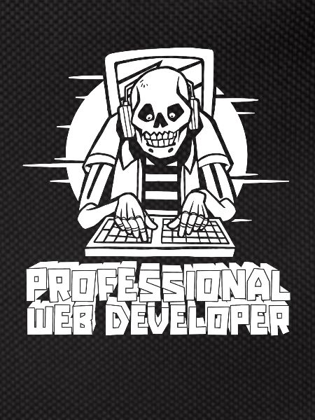 Web Entwickler Webdeveloper Web-Entwickler