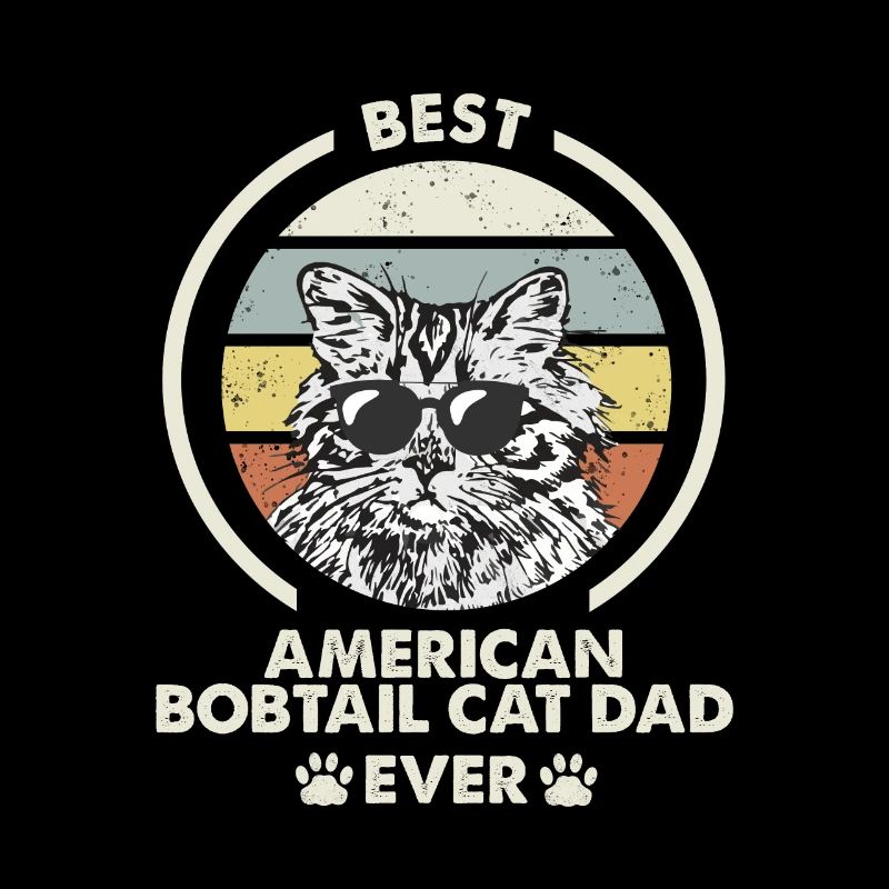 Papa chat - American Bobtail Katze
