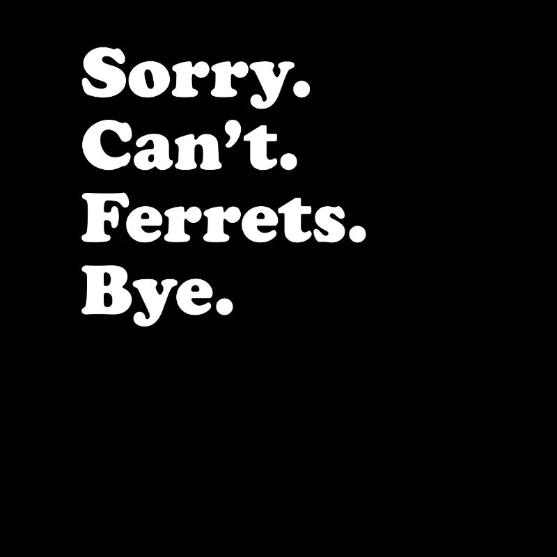 Désolé, je ne peux pas Bye Ferret