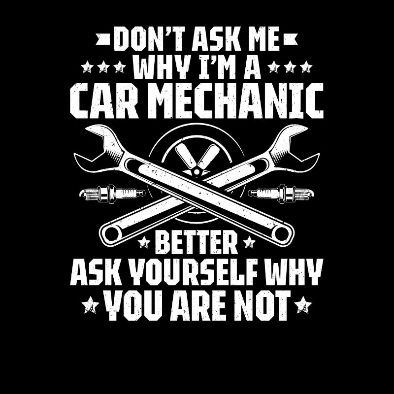 Automotive Mechatronics Engineer Car Mechanic Auto Mechanic